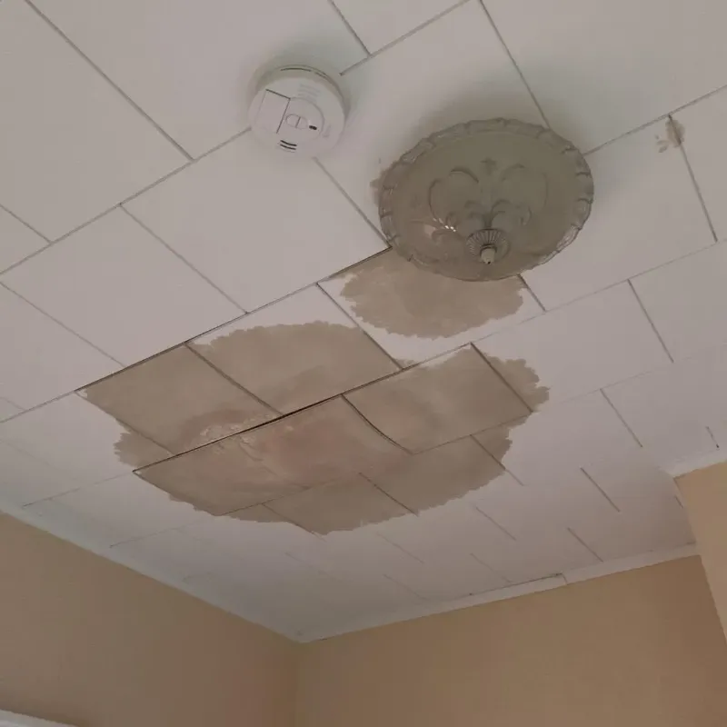 Ceiling Water Damage Repair in Lincolnshire, IL