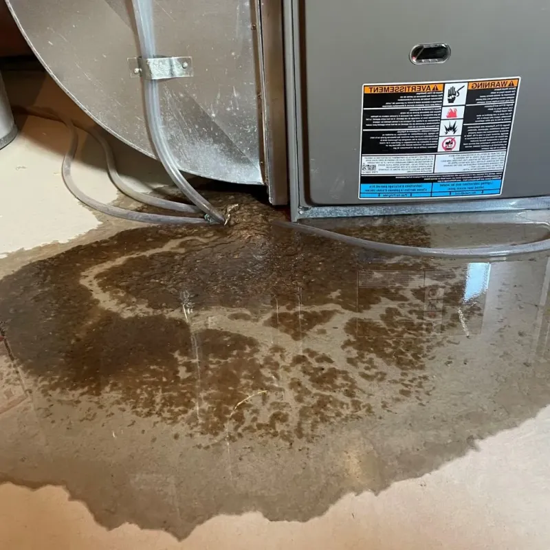 Pipe Burst and Leak Restoration in Lincolnshire, IL